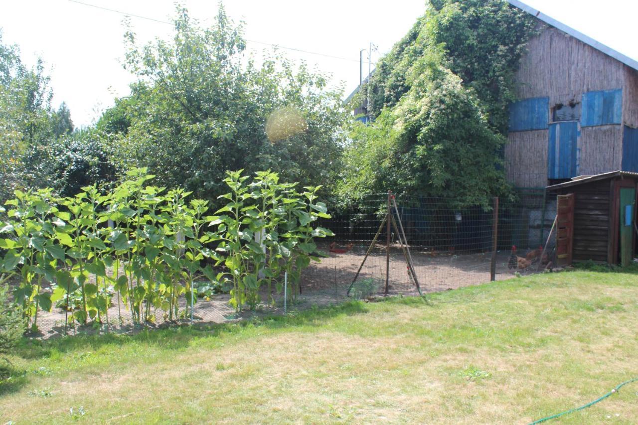 Agroturystyka Kociewiak Szteklin Buitenkant foto